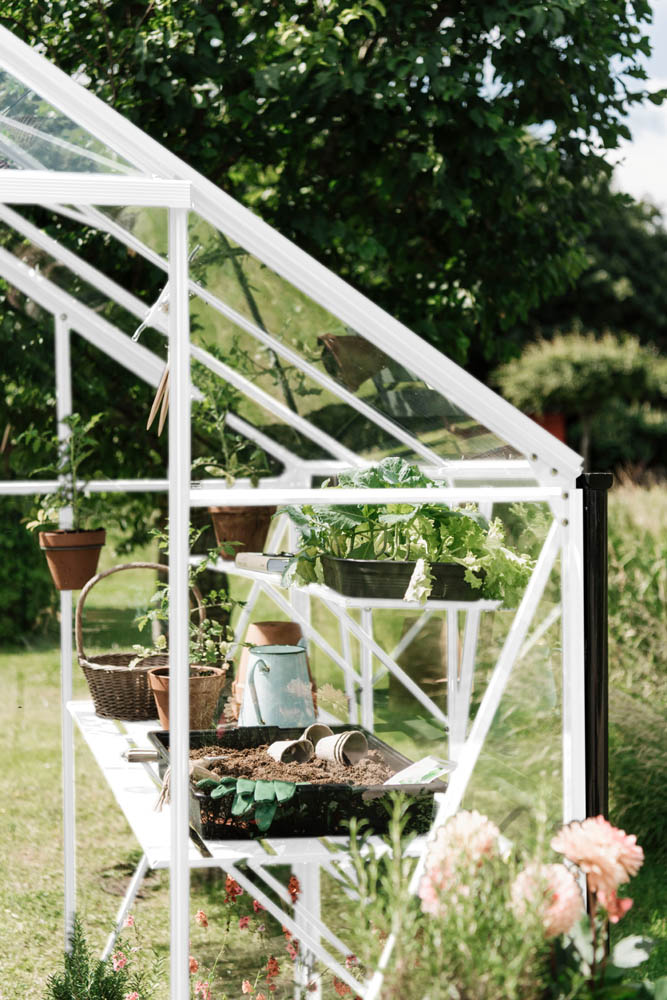 Royal Well Kate III - Kweekschap - Wit - 2.5x22.5x303 cm