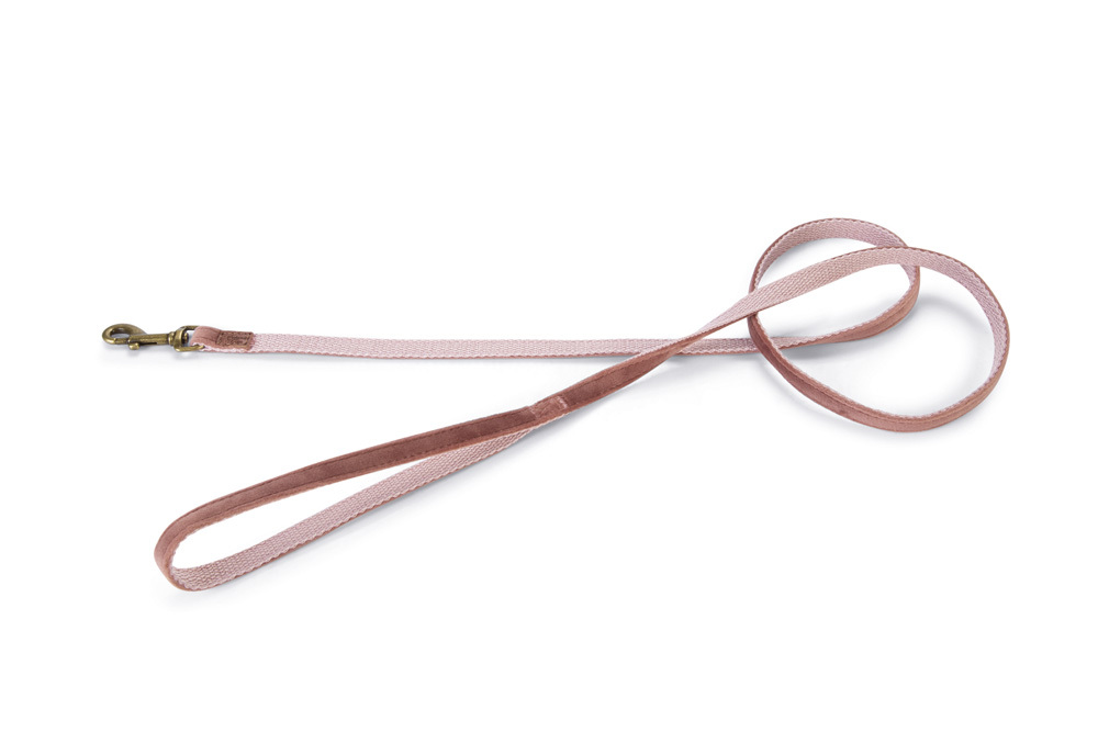 Designed by Lotte Velura - Hondenriem - roze - 1 cm - 120 cm Designed by Lotte Velura - Hondenriem - roze - 1 cm - 120 cm