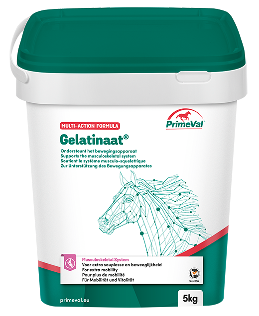 Primeval Gelatinaat - Gewrichtsupplement - Paard - 5 Kilogram - Doos - paard