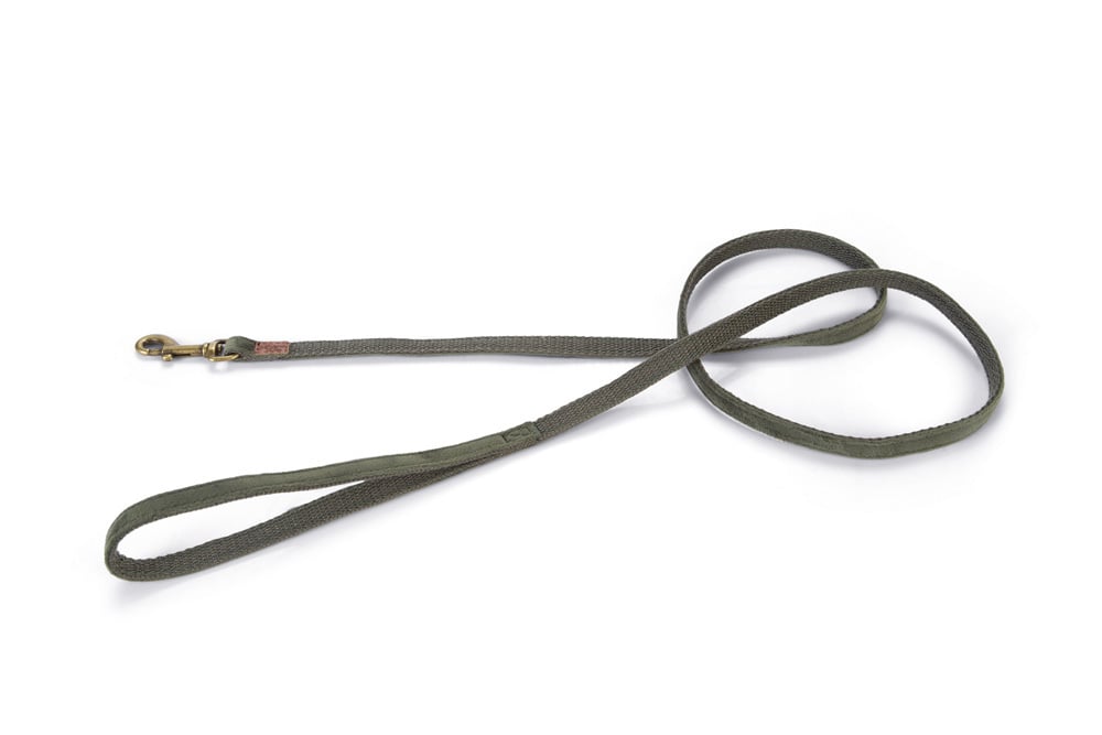 Designed by Lotte Velura - Hondenriem - groen - 1 cm - 120 cm
