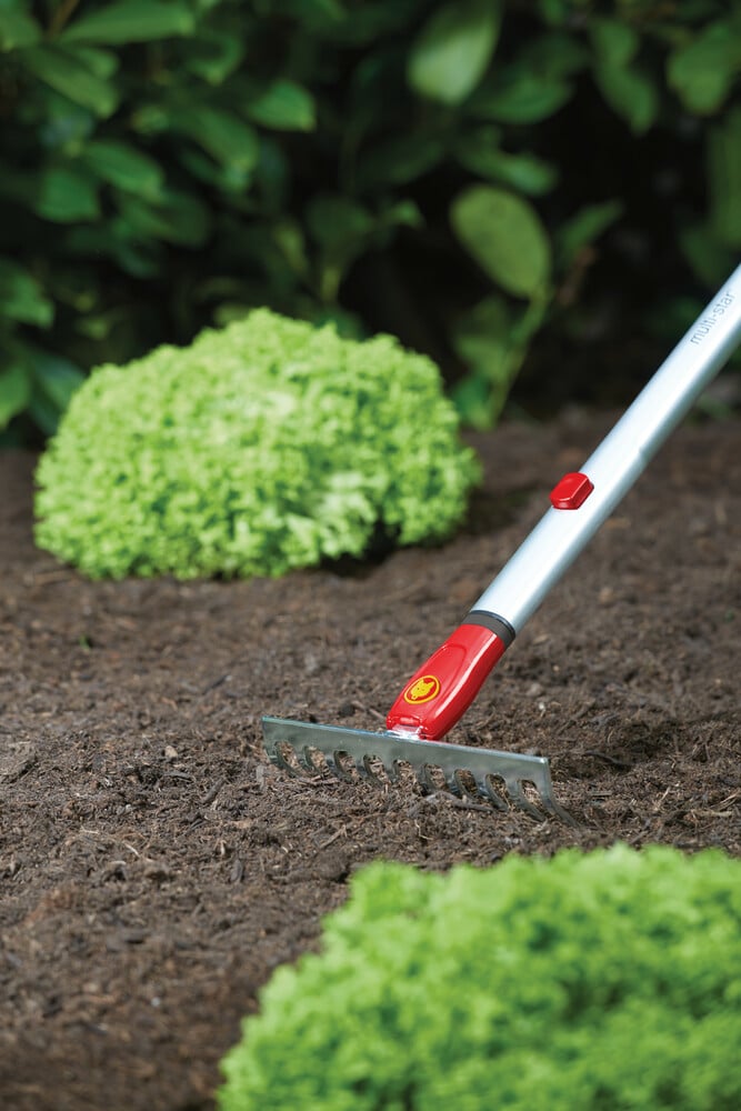 WOLF-Garten Multi-star Hark DS-M19 - Systeemgereedschap - Rood