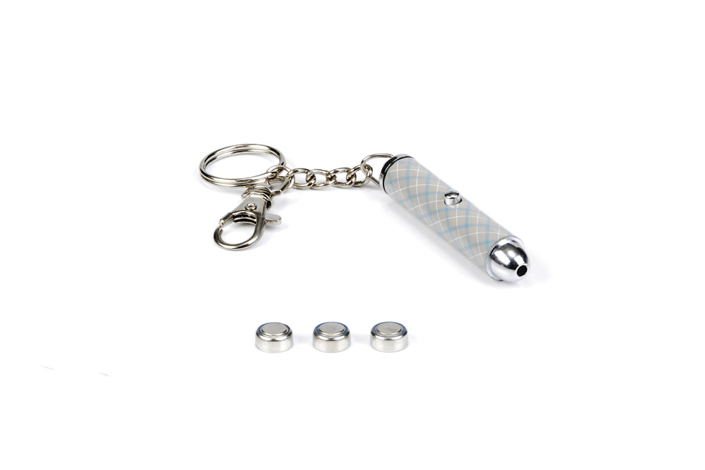 Beeztees Laserlampje Follow Me Classe 1 - Kattenspeeltje