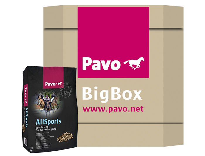 Pavo All Sports - Sport/ Prestatie - Paardenvoer - 725 Kilogram - Bigbox