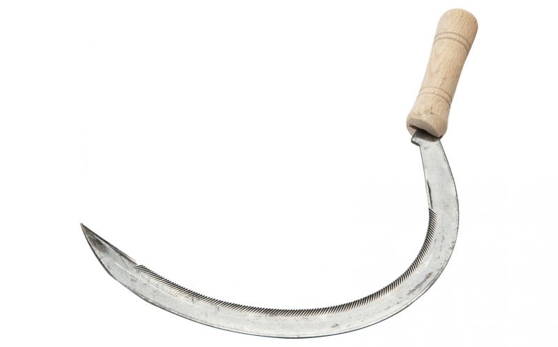 Welkoop Grassikkel - Zeisen