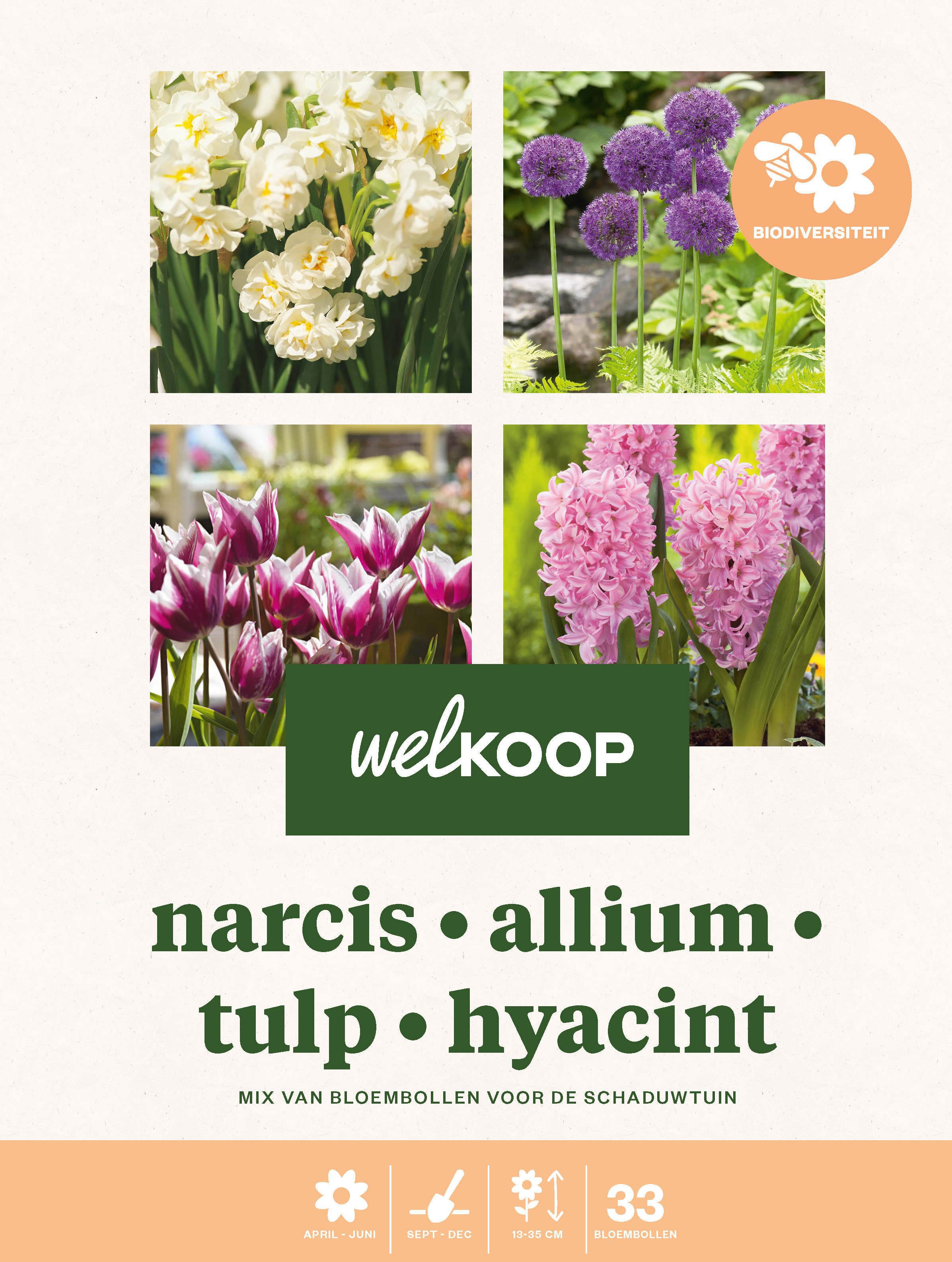 Welkoop Narcis Allium Tulp Hyacint - Biodiversiteit - Bloembollen