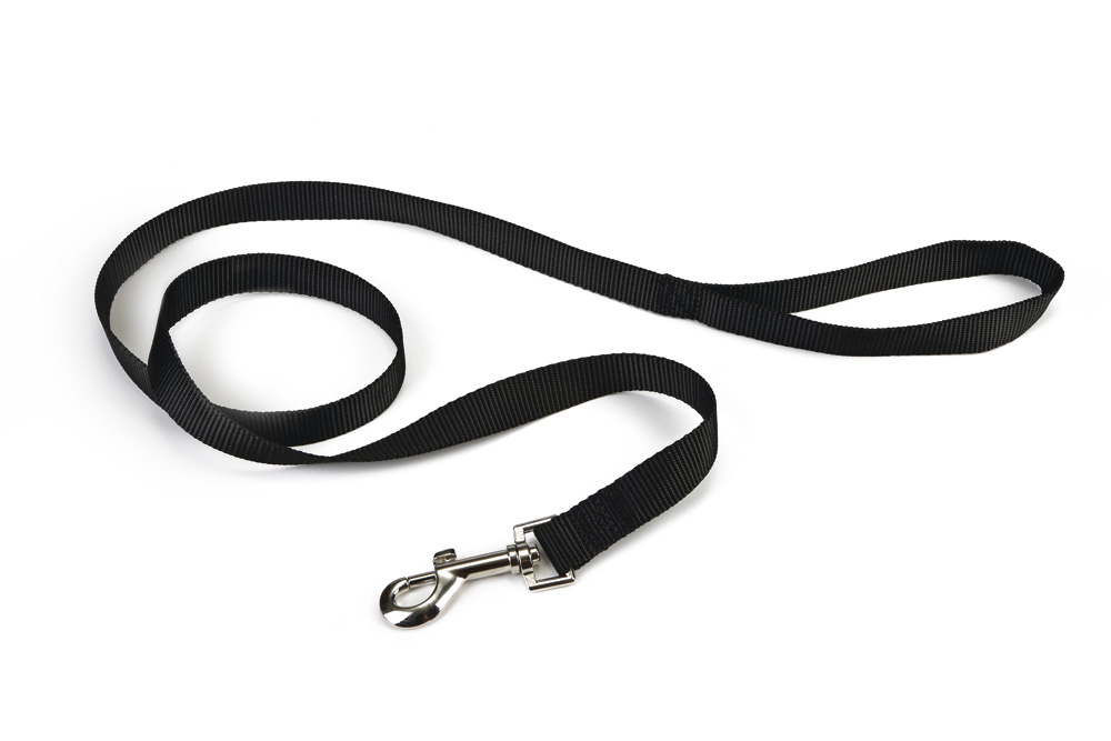 Beeztees - Hondenriem - Zwart - 1.5 cm - 100 cm