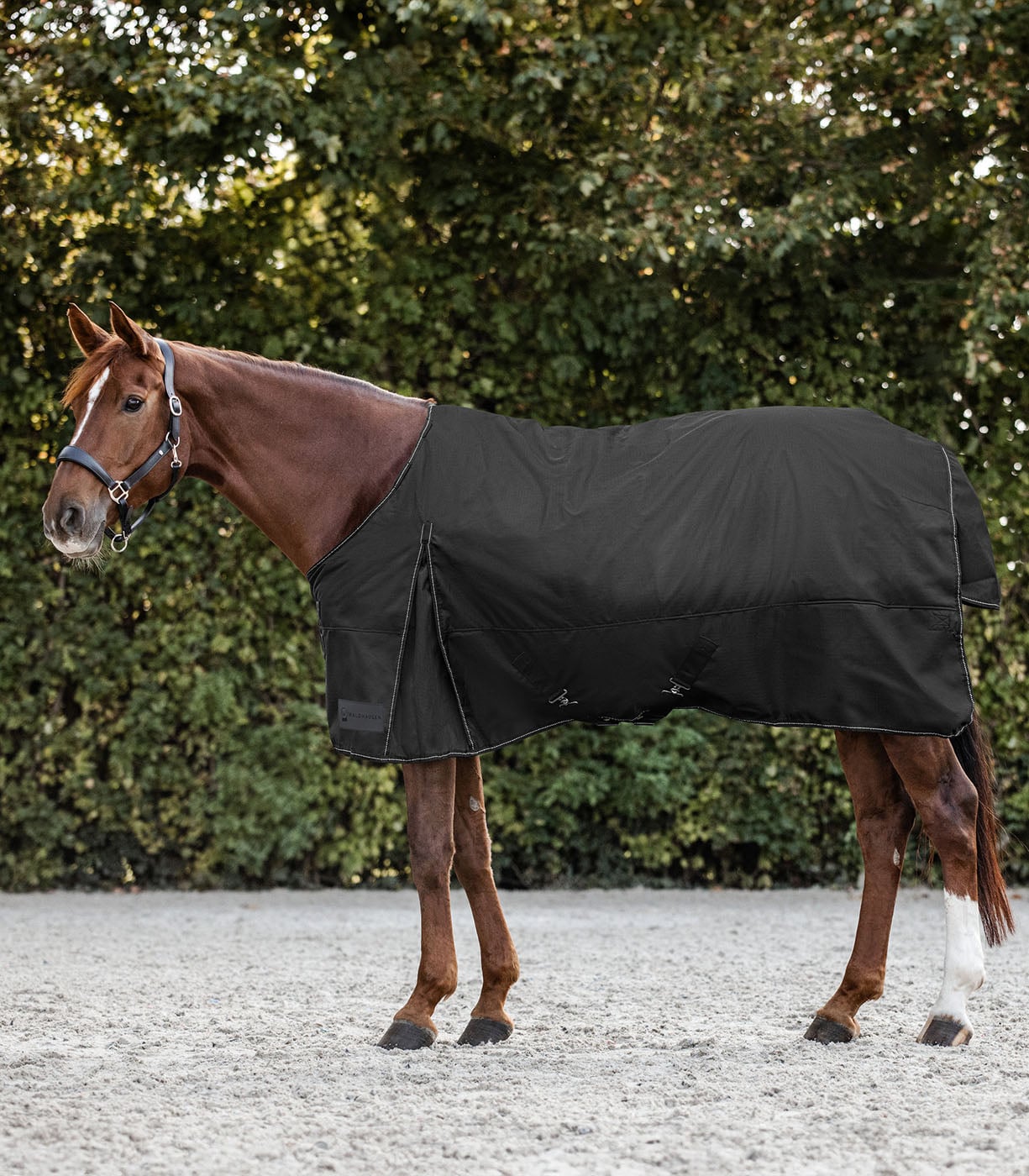 Waldhausen Nordic 300 gr - Winterdeken - Paardendeken - Zwart - 105/155 Waldhausen Nordic 300 gr - Winterdeken - Paardendeken - Zwart - 105/155