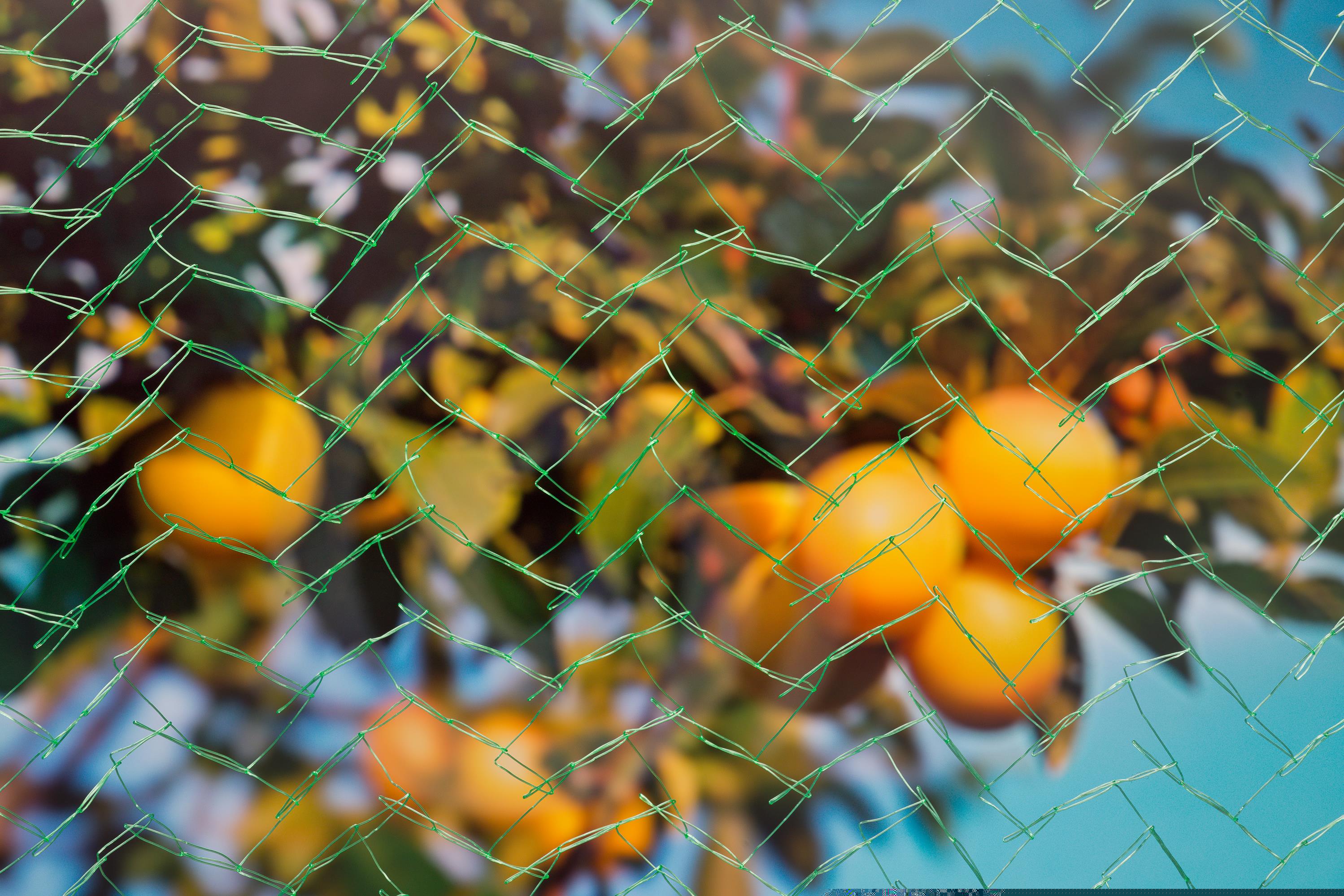 Nature Tuinnet Mono - Plantbescherming - 10x4 meter - Groen - 400x100 cm