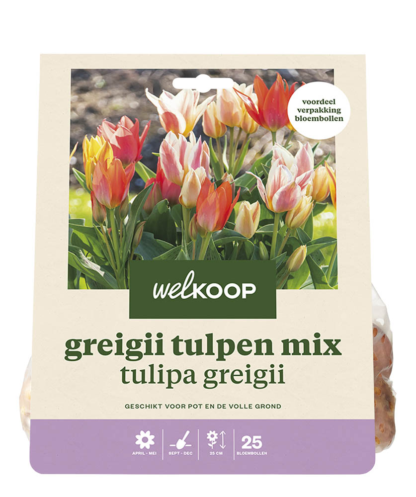 Welkoop Tulpen mix Jacqeline - Bloembollen