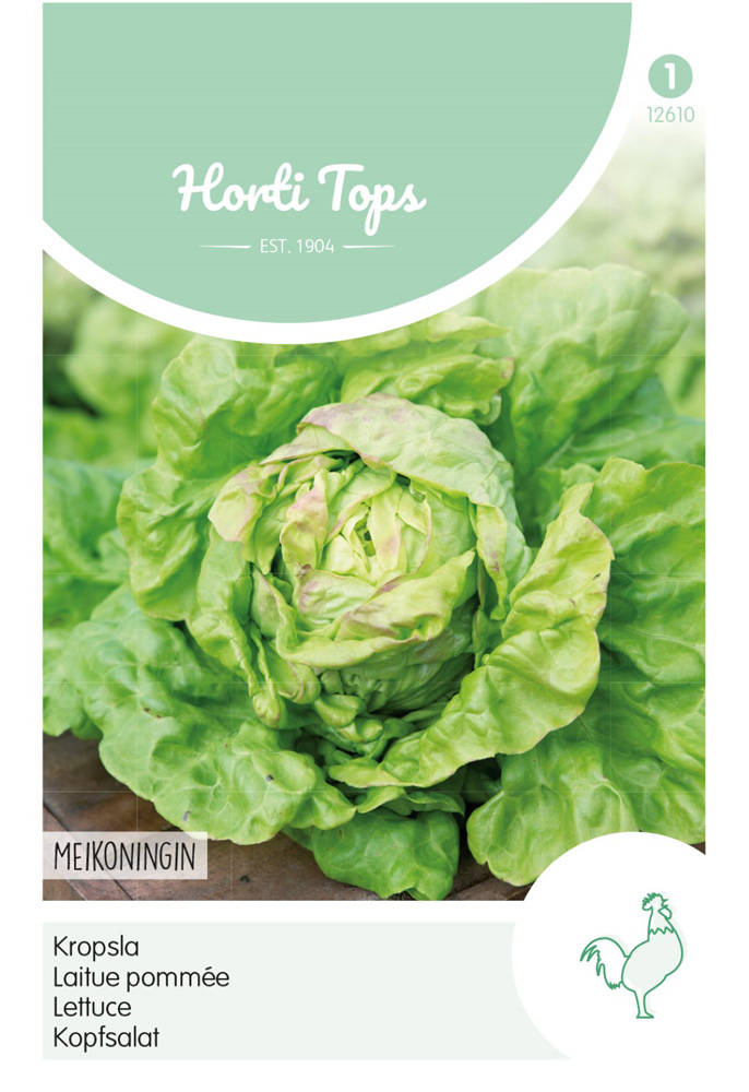 Hortitops Kropsla Lactuca sativa Meikoningin - Groentezaden