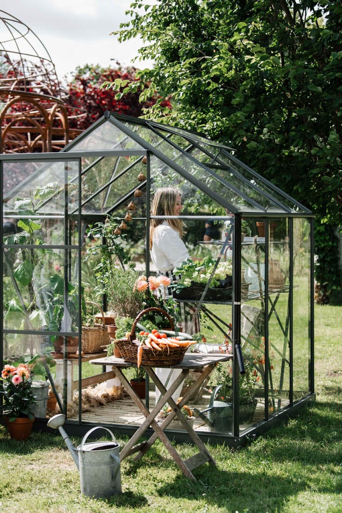 Royal Well Kate I Full Options - Tuinkas - Groen - 217x192x192 cm - Veiligheidsglas