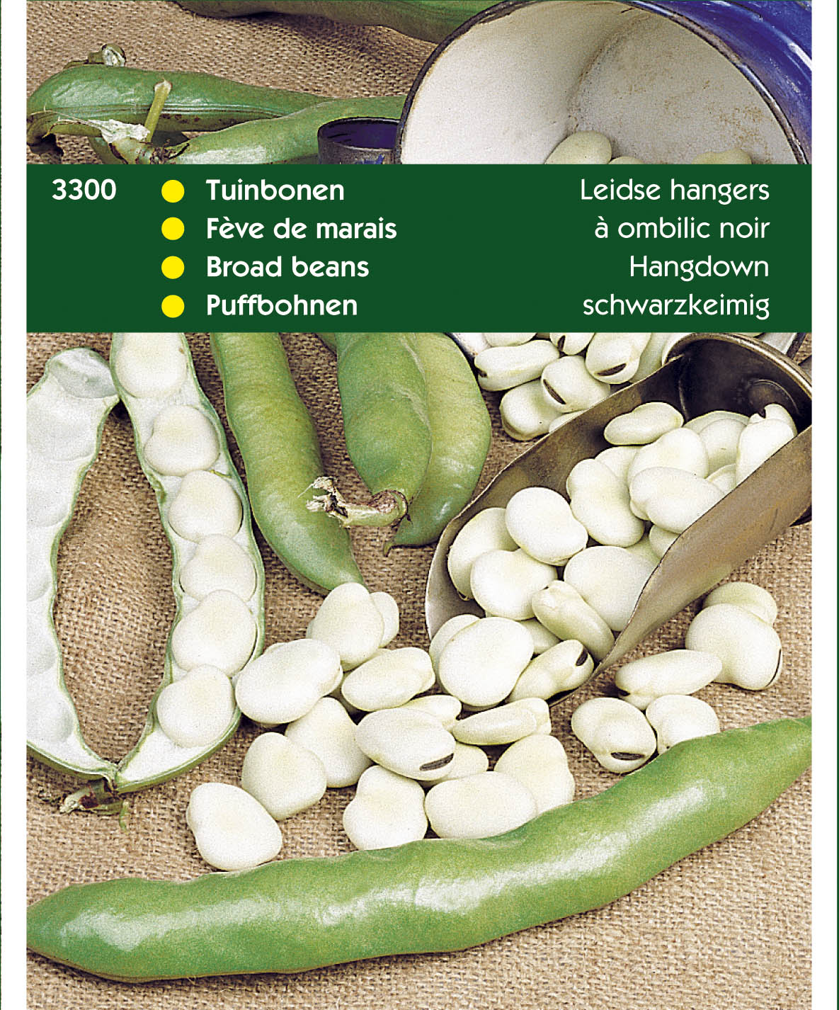 Hortitops Tuinbonen Vicia faba Leidse Hangers - Groentezaden - 100 Gram