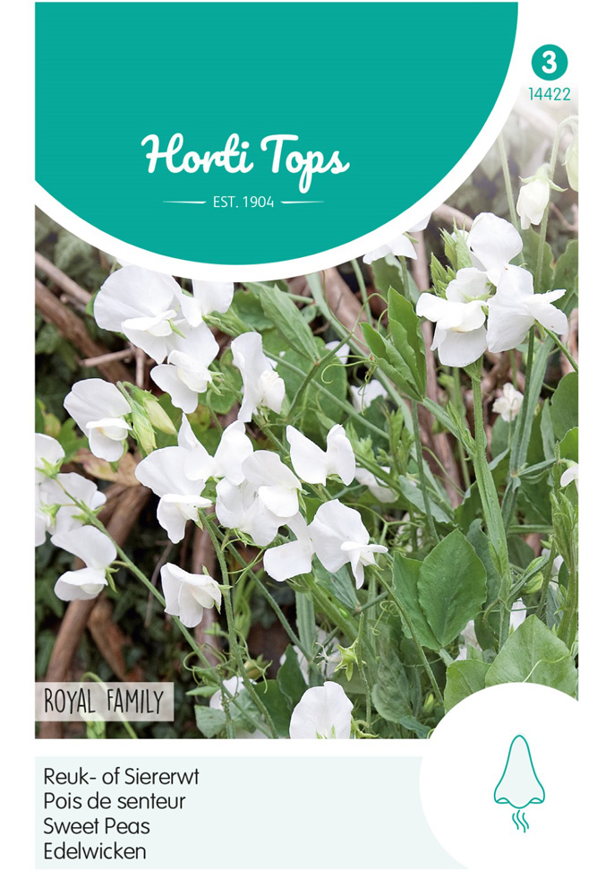 Hortitops Reuk- of Siererwt Royal Wit - Bloemzaden