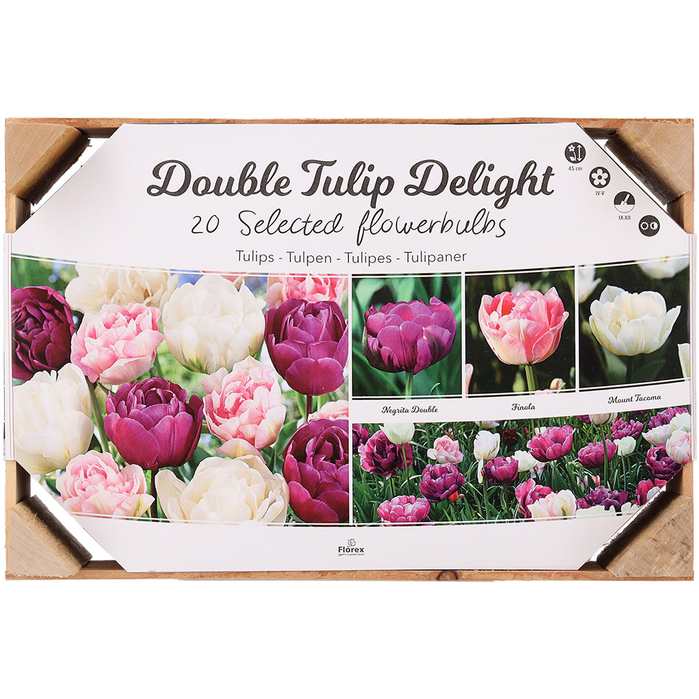 Florex Tulpen Bloembollen mix - in Kistje