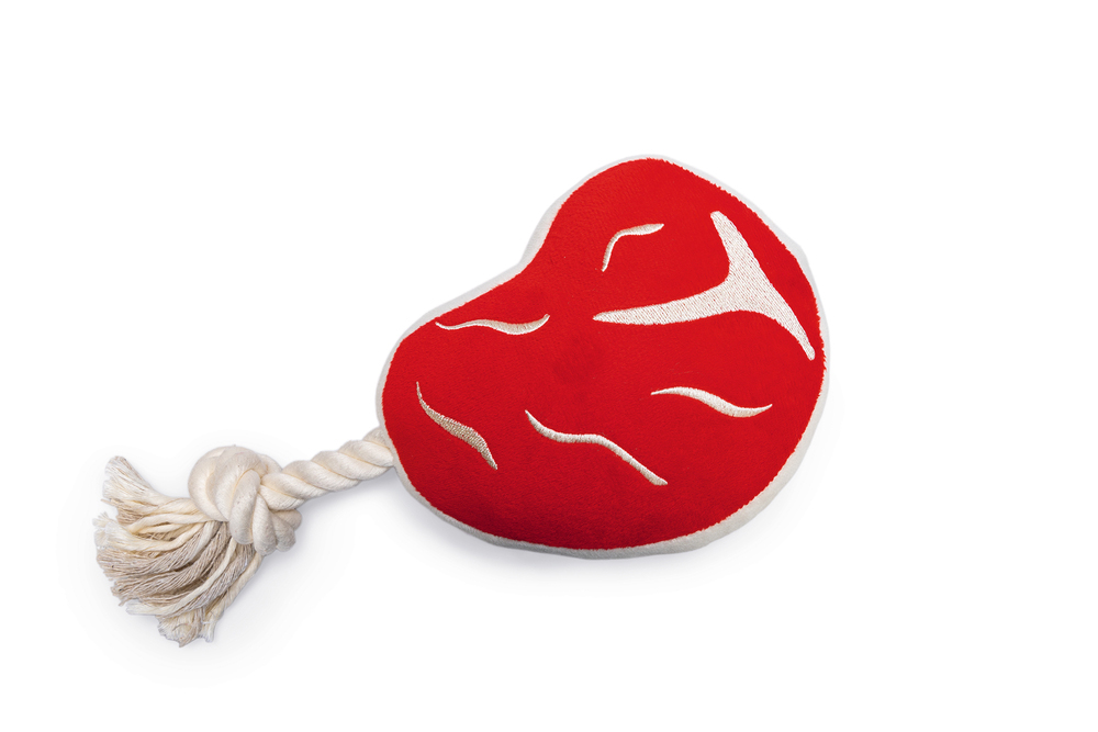 Beeztees Steak met flostouw - Hondenspeelgoed - Rood - 7x13x28 cm