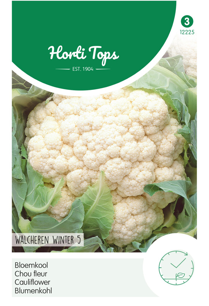 Hortitops Bloemkool Brassica oleracea Walcheren Winter - Groentezaden