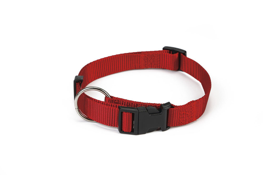 Beeztees - Halsband Hond - rood - 30 tot 45 cm