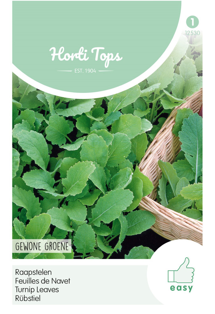 Hortitops Raapstelen Brassica campestris Groene - Groentezaden