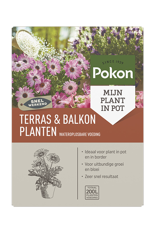 Pokon Wateroplosbare voeding - Siertuinmeststof - 500 Gram