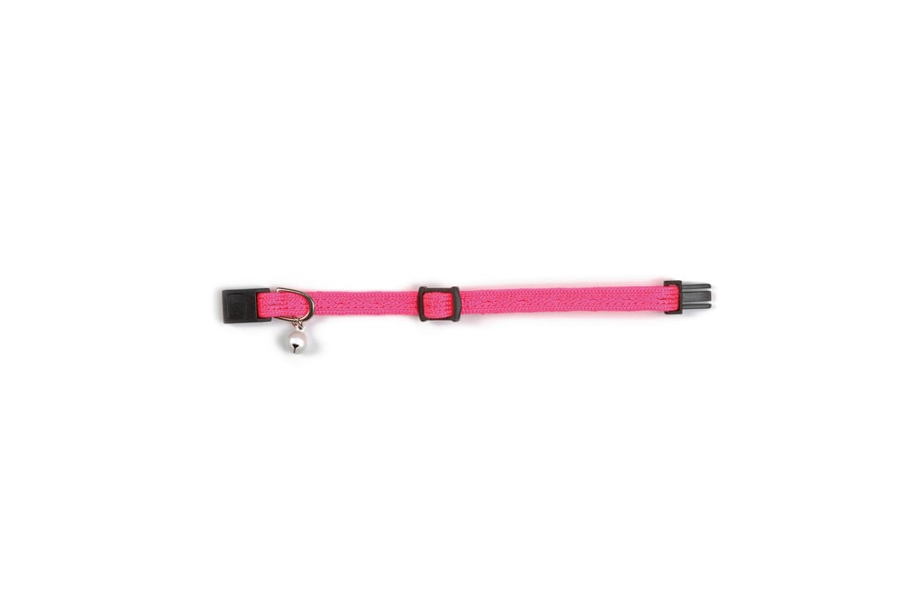 Beeztees Fel - Kittenhalsband - Roze - 16 tot 23 cm