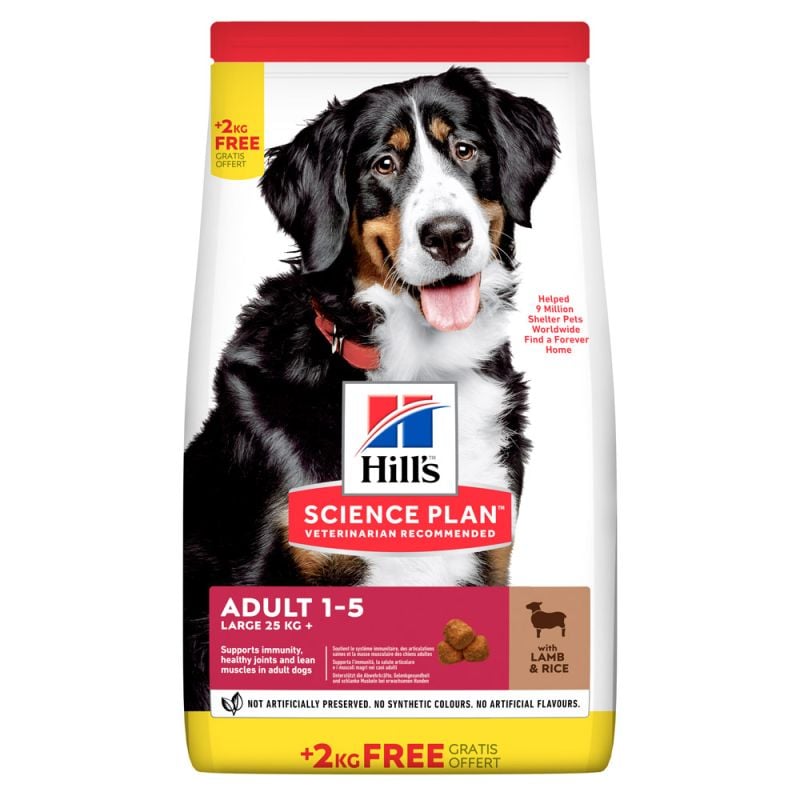 Hill's Science Plan Adult Large Breed - Hondenvoer - 14 Kilogram - rijst