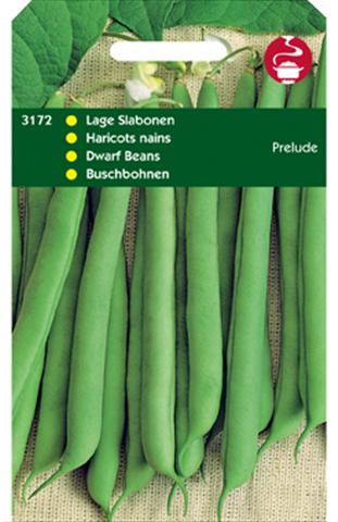 Hortitops Stamslabonen Phaseolus Vulgaris - Groentezaden - 100 Gram