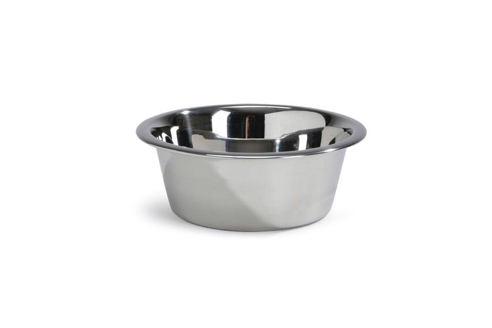 Beeztees Economic 462 - Voerbak - Zilver - 16 cm