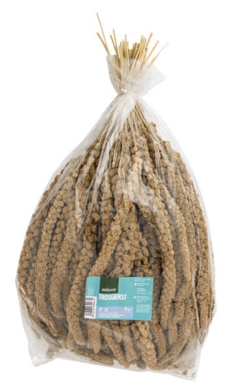 Welkoop Trosgierst - Snacks - 1 Kilogram