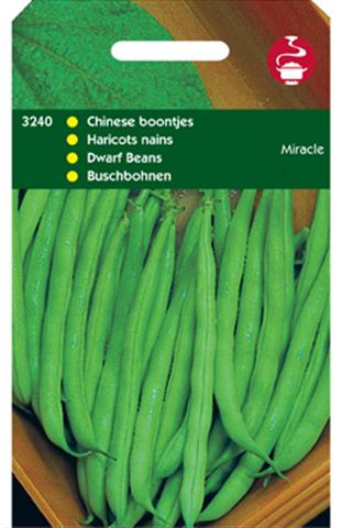 Hortitops Chinees boontje Phaseolus vulgaris Miracle - Groentezaden - 100 Gram Hortitops Chinees boontje Phaseolus vulgaris Miracle - Groentezaden - 100 Gram
