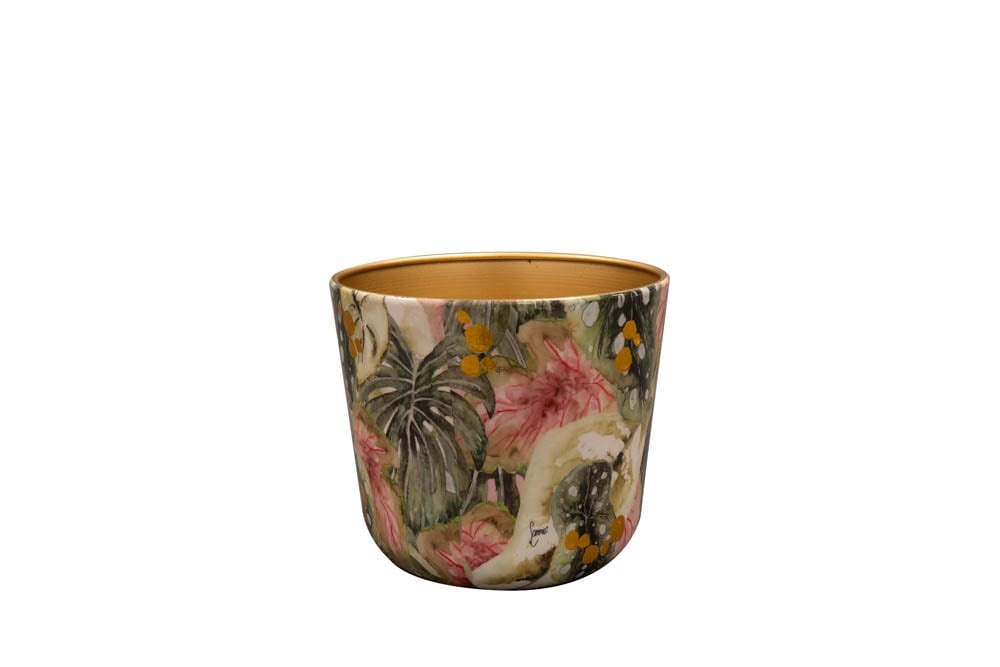 TS COLLECTION Monstera Mystery - Bloempot - Multi - 14 cm