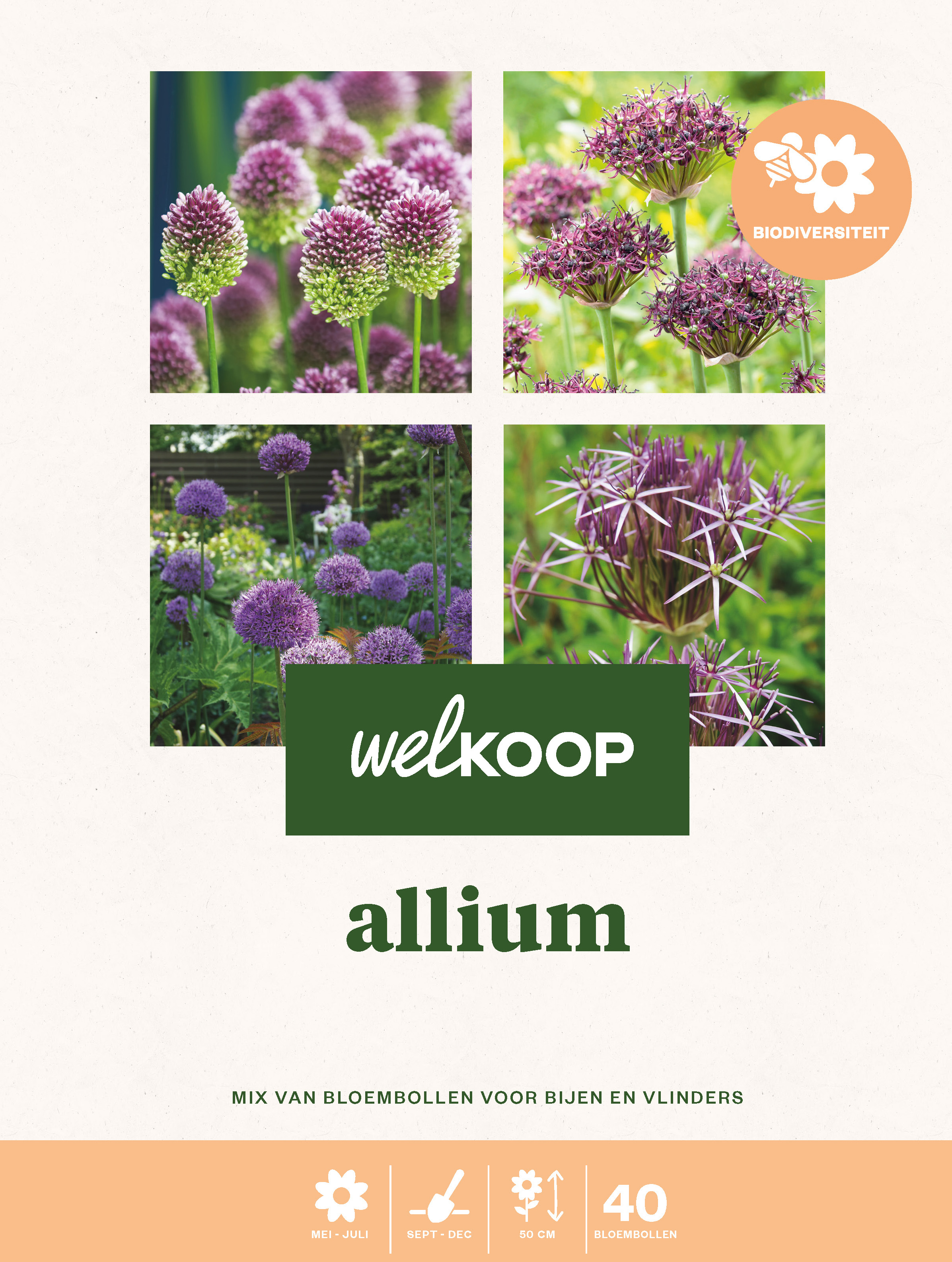 Welkoop Allium Biodiversiteit - Bloembollen