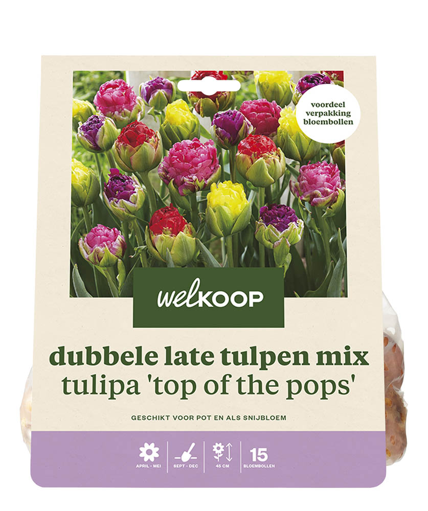 Welkoop Dubbele Tulpen mix Manon - Bloembollen
