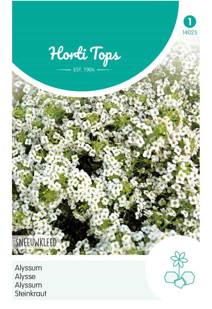 Hortitops Alyssum Sneeuwkleed - Bloemzaden