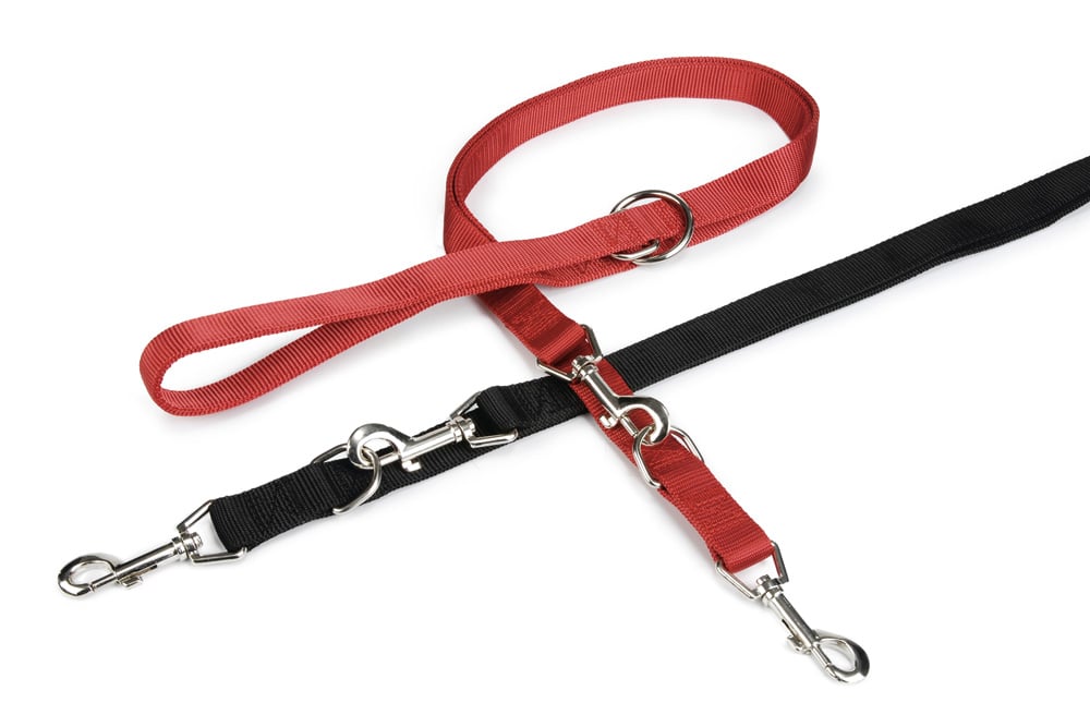 Beeztees Dubbel Gestikt - Dressuurlijn - Trainingslijn Hond - zwart - 2.5 cm - 200 cm