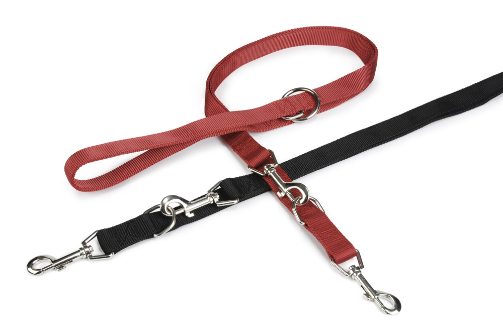 Beeztees Dubbel Gestikt - Dressuurlijn - Trainingslijn Hond - zwart - 2.5 cm - 200 cm Beeztees Dubbel Gestikt - Dressuurlijn - Trainingslijn Hond - zwart - 2.5 cm - 200 cm