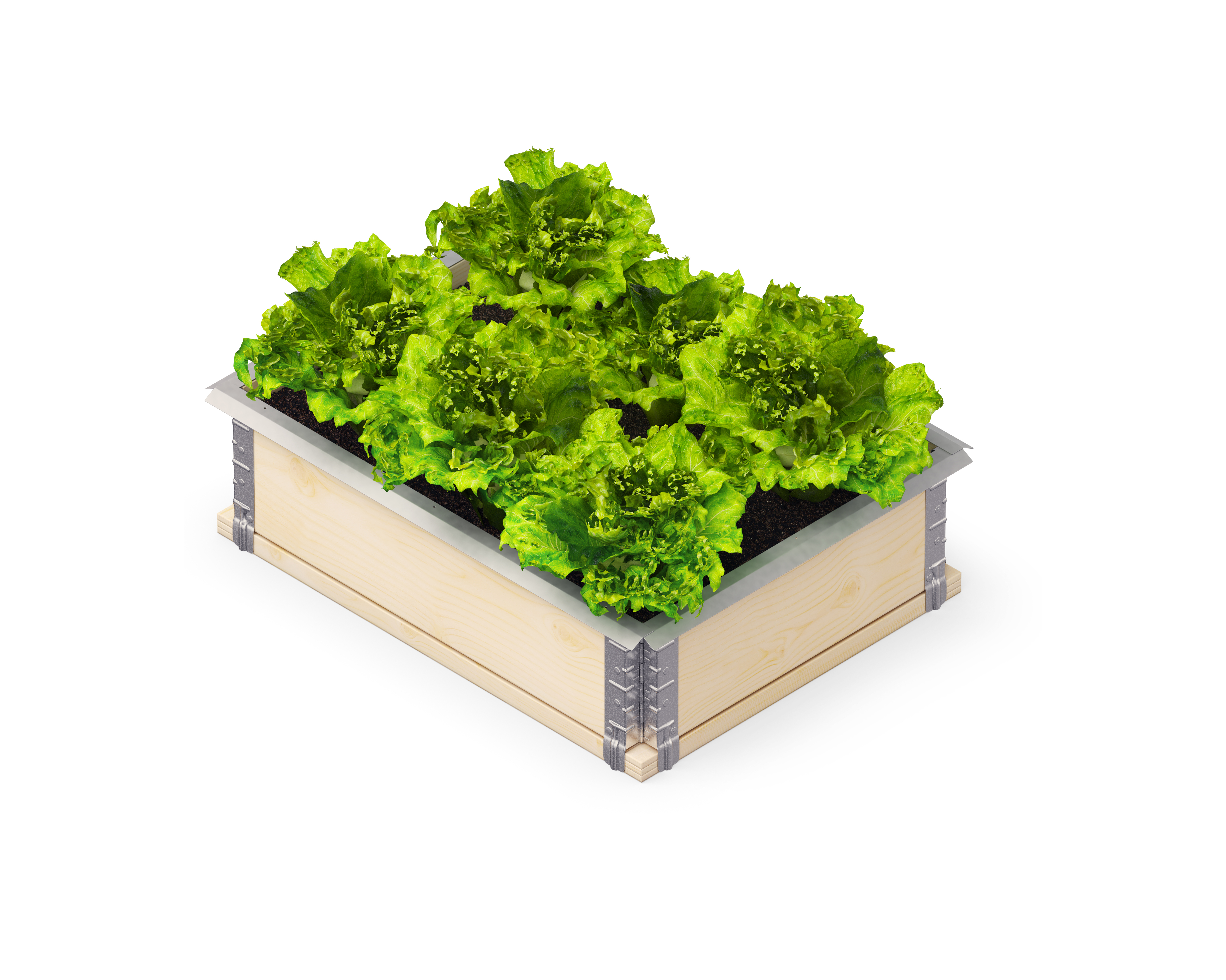 Upyard - Slakkenrand - Zilver - 0.8x79.5x4.5 cm Upyard - Slakkenrand - Zilver - 0.8x79.5x4.5 cm