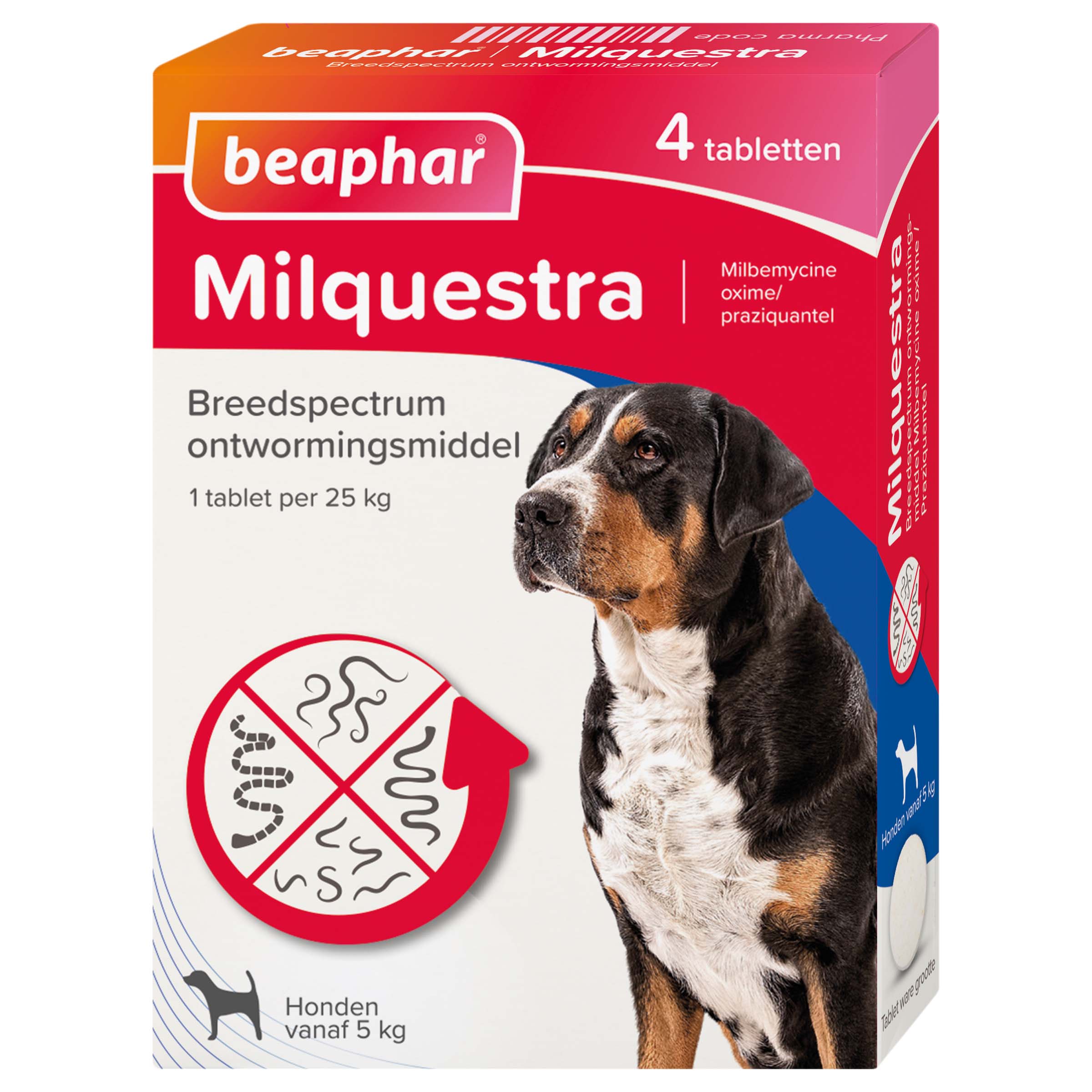 Beaphar Milquestra Hond 5-75kg - Wormenmiddel - 4 Stuks