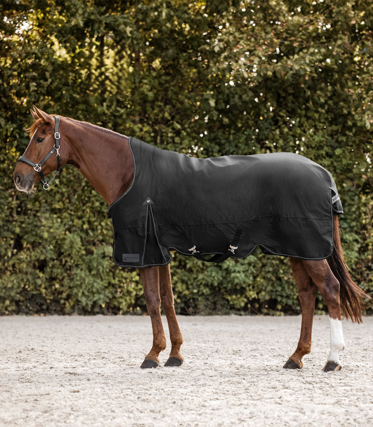 Waldhausen Arctic Hoge nek 200 gr - Winterdeken - Paardendeken - Zwart - 125/175 Waldhausen Arctic Hoge nek 200 gr - Winterdeken - Paardendeken - Zwart - 125/175