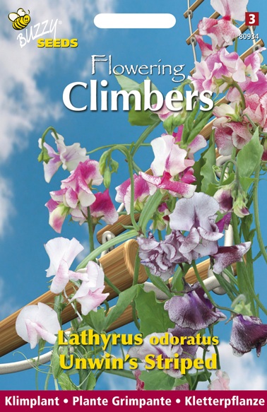 Buzzy Climbers Lathyrus Unwins - Bloemzaden