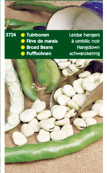 Hortitops Tuinbonen Vicia faba Leidse Hangers - Groentezaden - 250 Gram