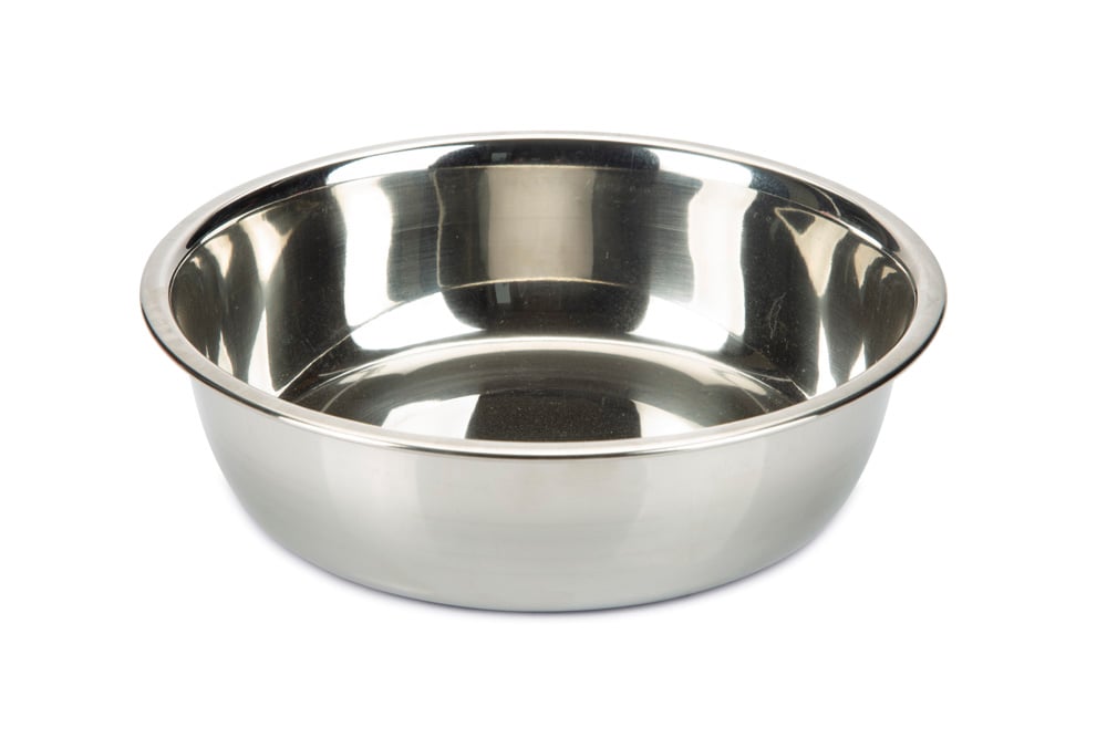Beeztees Rvs - Voerbak - Zilver - 17 cm