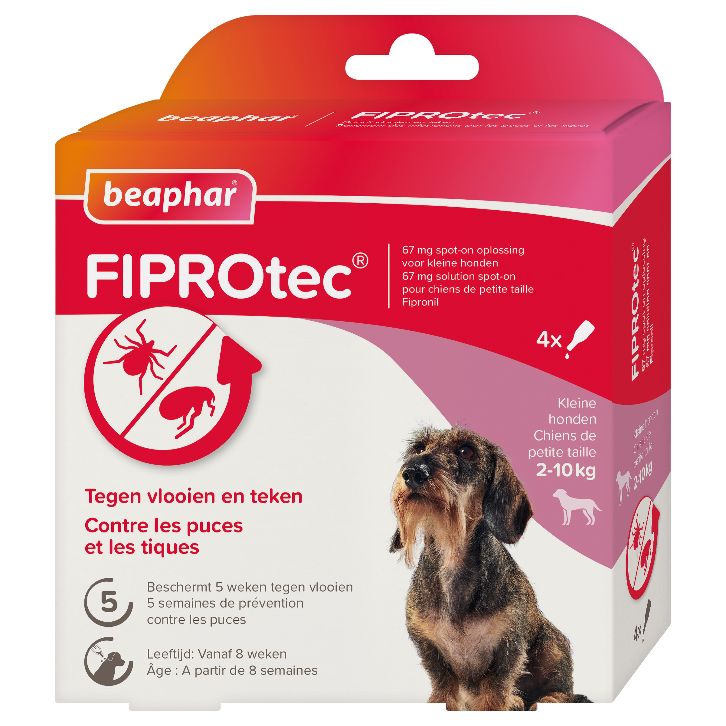 Beaphar Fiprotec Pipet - Anti Vlooien en teken - Hond - 4 Stuks - S Beaphar Fiprotec Pipet - Anti Vlooien en teken - Hond - 4 Stuks - S