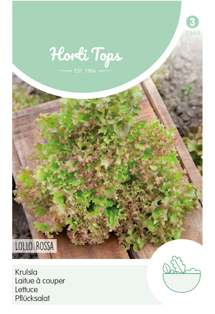 Hortitops Krulsla Lactuca sativa Lollo Rossa - Sla