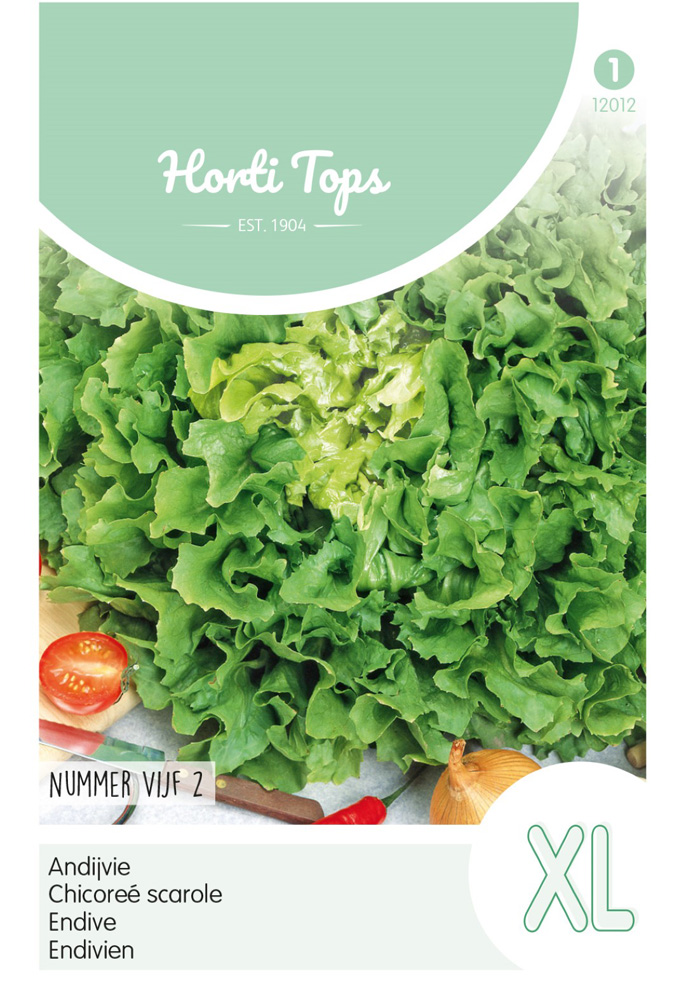 Hortitops Andijvie Cichorium endivia Nummer Vijf 2 - Groentezaden