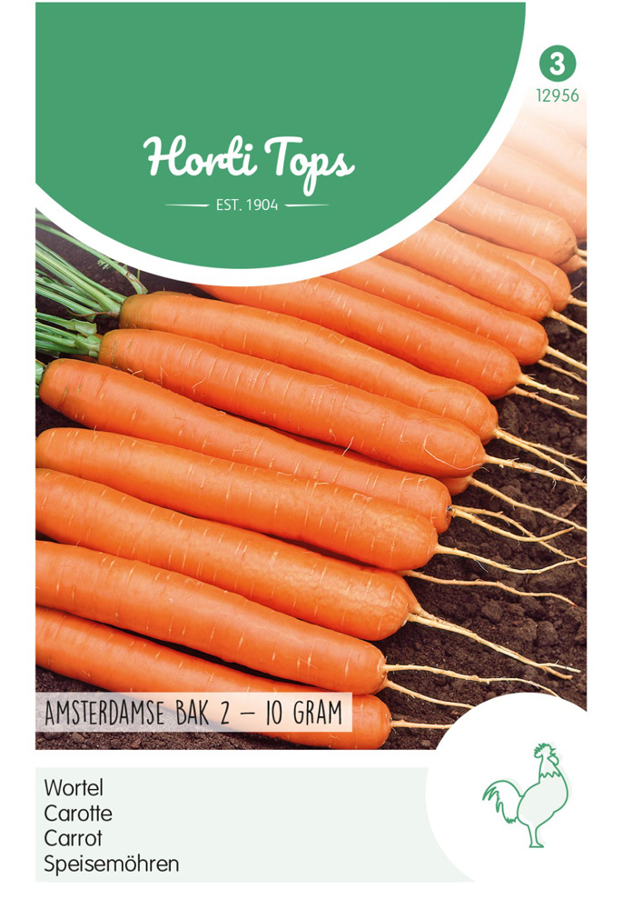 Hortitops Wortelen Daucus carota Amsterdamse Bak 2 - Groentezaden - 10 Gram