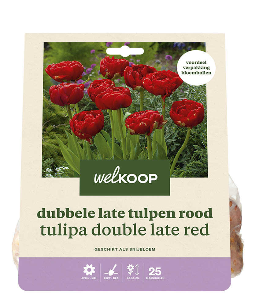 Welkoop Dubbele Tulp Charlie Mila - Bloembollen