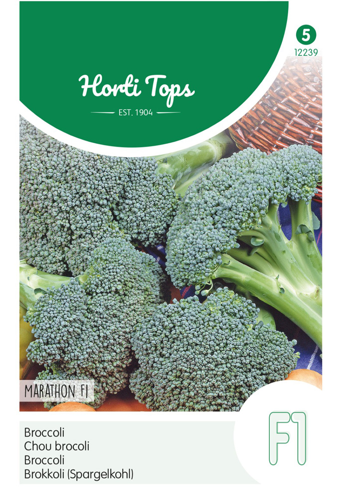 Hortitops Broccoli Brassica oleracea Marathon F1 - Groentezaden