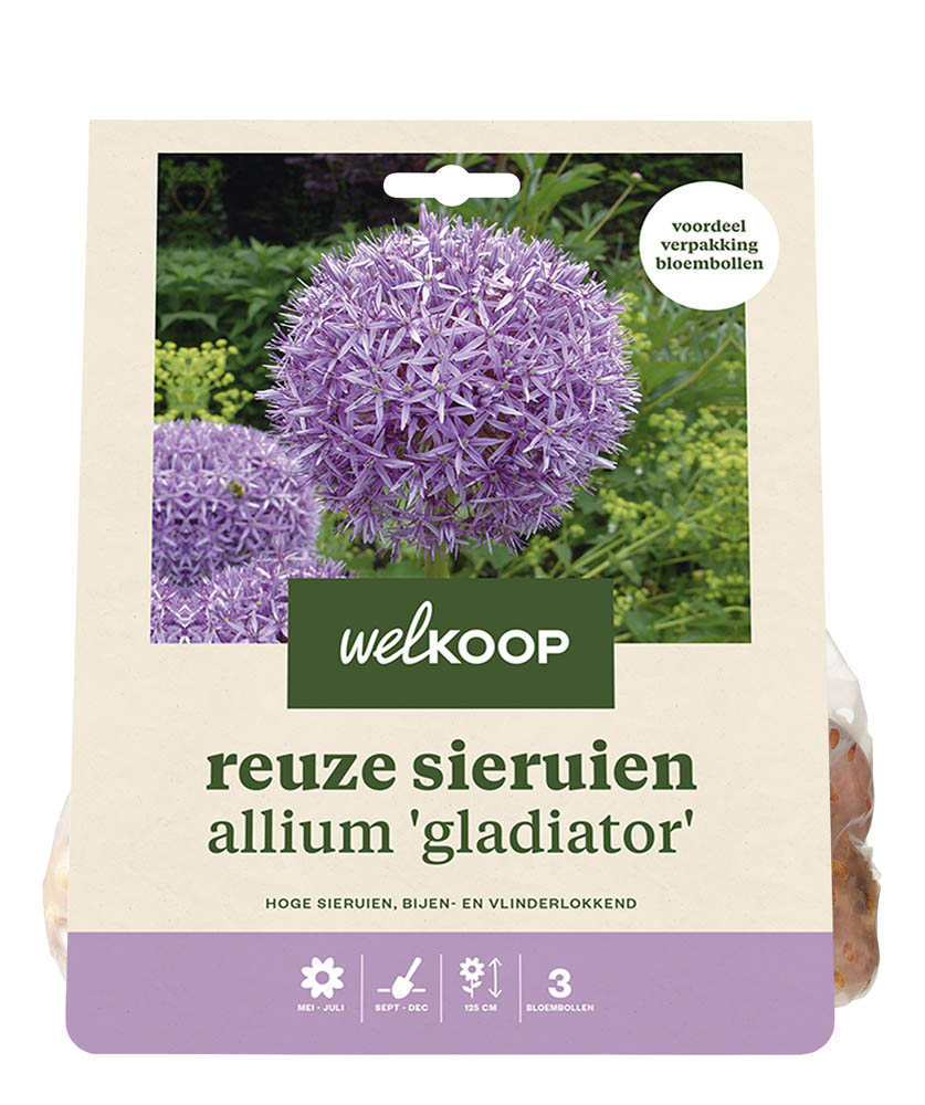 Welkoop Reuze Allium Rosie - Bloembollen