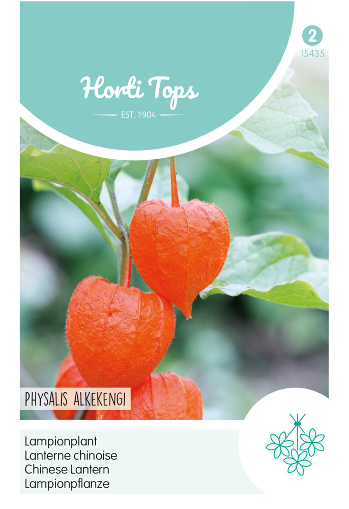 Hortitops Lampionplant - Bloemzaden