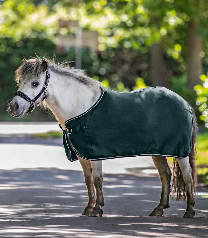 Waldhausen Economic - Zweetdeken - Paardendeken - Groen - 115/165 Waldhausen Economic - Zweetdeken - Paardendeken - Groen - 115/165